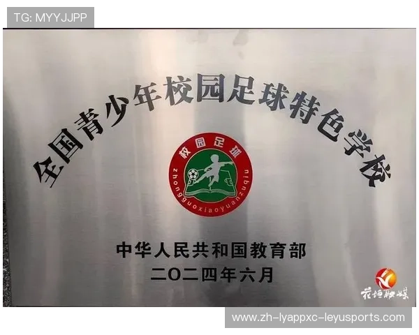 青少年足球场地标准化建设与教育价值